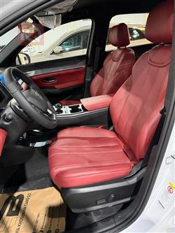 بي واي دي ‎سونغ برو DM-i